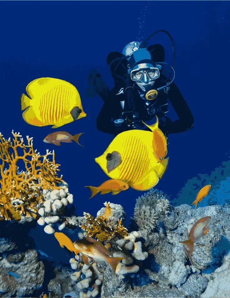 Tours to Sharm El Sheikh